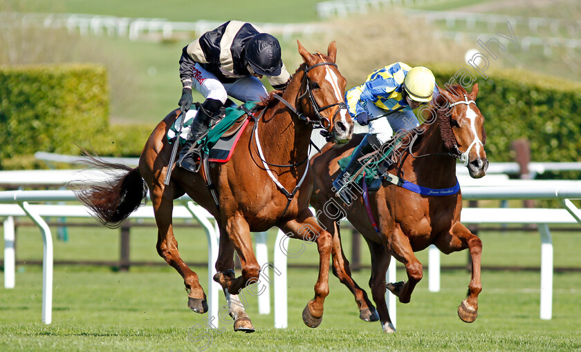 Winter-Lion-0002 
 WINTER LION (left, Paddy Brennan) beats TANARPINO (right) in The Nicholson Holman Handicap Chase Cheltenham 18 Apr 2018 - Pic Steven Cargill / Racingfotos.com