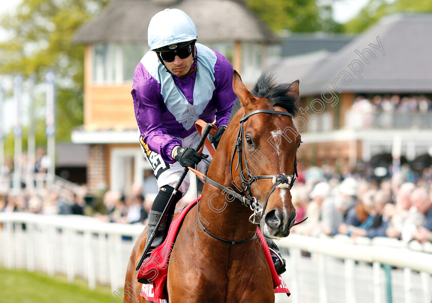 Merlin-Magic-0001 
 MERLIN MAGIC (Silvestre De Sousa)
York 17 May 2018 - Pic Steven Cargill / Racingfotos.com