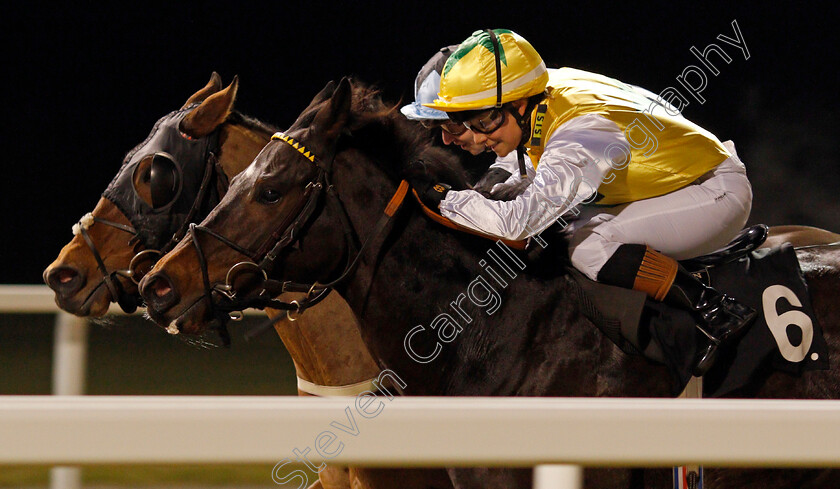 Call-Out-Loud-0004 
 CALL OUT LOUD (farside, Alistair Rawlinson) beats HUMAN NATURE (nearside) in The Bet toteplacepot At betfred.com Apprentice Handicap Chelmsford 1 Dec 2017 - Pic Steven Cargill / Racingfotos.com