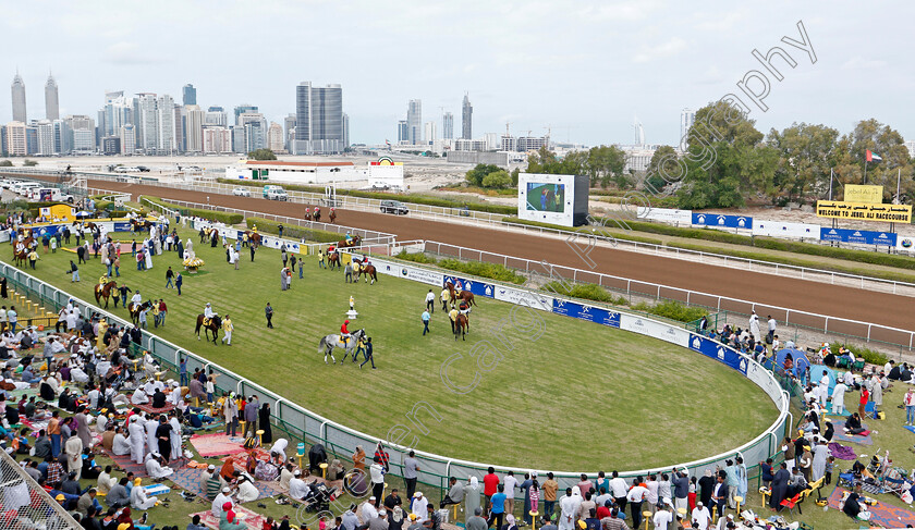 Jebel-Ali-0001 
 Horses in the parade ring 
Jebel Ali 24 Jan 2020 - Pic Steven Cargill / Racingfotos.com