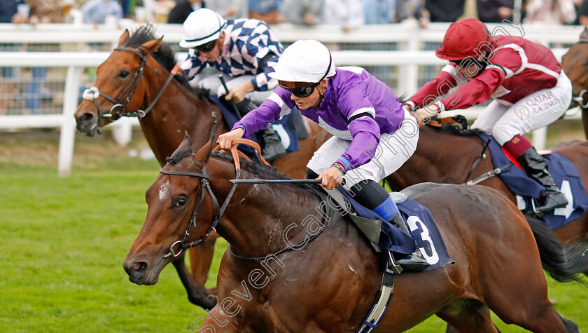 Delirious-Dream-0003 
 DELIRIOUS DREAM (Benoit de la Sayette) wins The At The Races App Expert Tips Nursery
Yarmouth 14 Sep 2022 - Pic Steven Cargill / Racingfotos.com