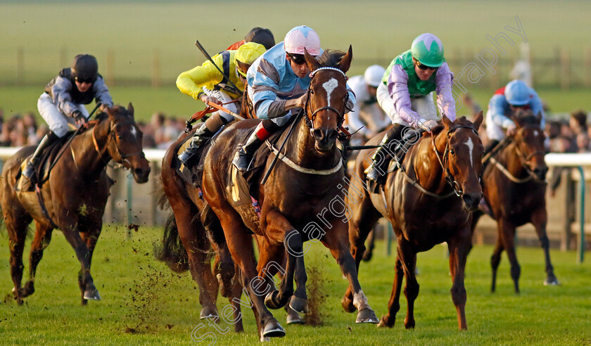 Astral-Beau-0004 
 ASTRAL BEAU (Shane Kelly) wins The Christmas Parties At Newmarket Handicap
Newmarket 29 Oct 2022 - Pic Steven Cargill / Racingfotos.com