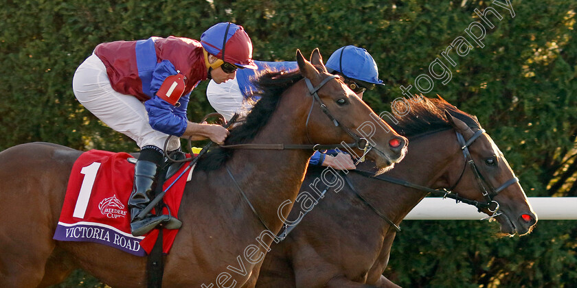 Victoria-Road-0001 
 VICTORIA ROAD (left, Ryan Moore) beats SILVER KNOTT (right) in the Breeders' Cup Juvenile Turf 
Breeders Cup Meeting, Keeneland USA, 4 Nov 2022 - Pic Steven Cargill / Racingfotos.com