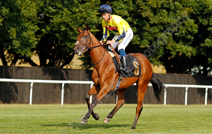 Tostado 
 TOSTADO (William Carver)
Newmarket 22 Jul 2022 - Pic Steven Cargill / Racingfotos.com