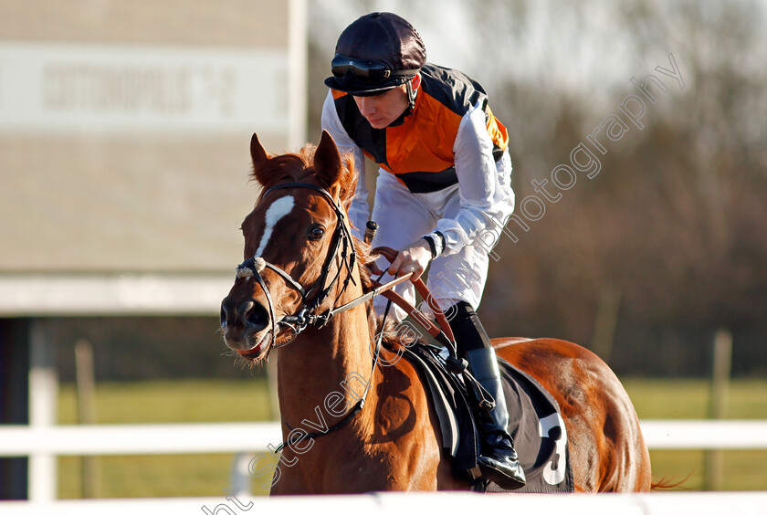 Shumba-0001 
 SHUMBA (Callum Shepherd)
Chelmsford 11 Feb 2020 - Pic Steven Cargill / Racingfotos.com