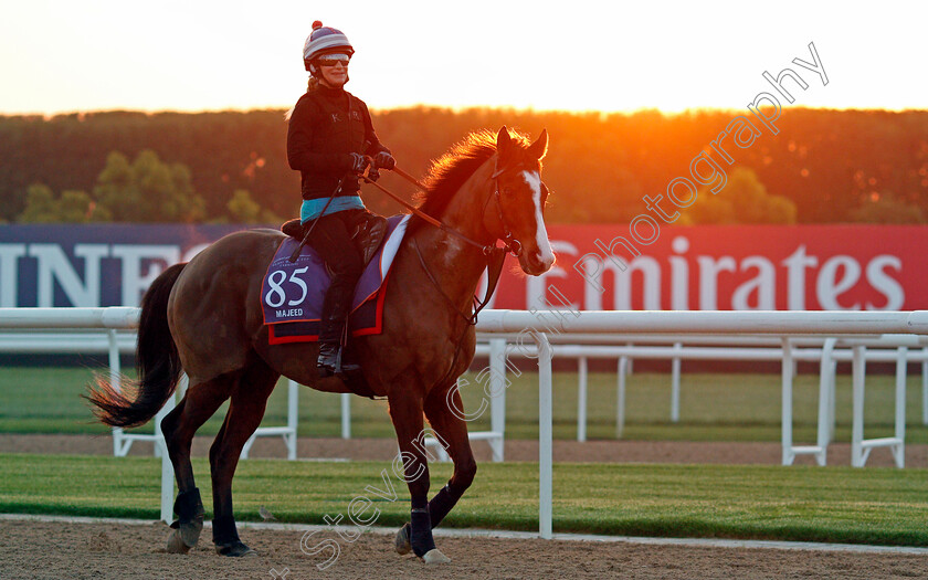 Majeed-0003 
 MAJEED, trained by David Simcock, exercising in preparation for The Dubai World Cup Carnival, Meydan 18 Jan 2018 - Pic Steven Cargill / Racingfotos.com