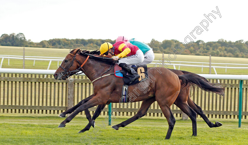 Dramatic-Device-0002 
 DRAMATIC DEVICE (Pat Cosgrave) wins The Weatherbys TBA Handicap
Newmarket 26 Sep 2019 - Pic Steven Cargill / Racingfotos.com