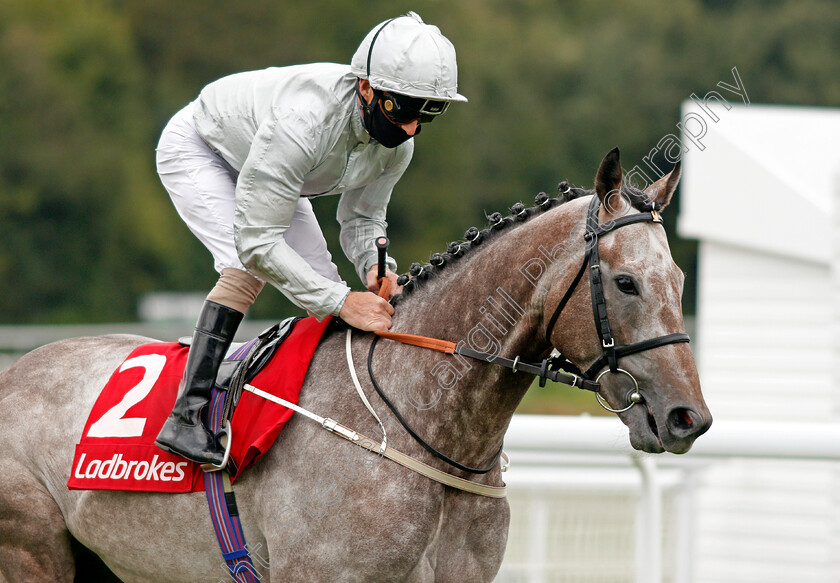 Overwrite-0001 
 OVERWRITE (Joe Fanning)
Goodwood 30 Aug 2020 - Pic Steven Cargill / Racingfotos.com