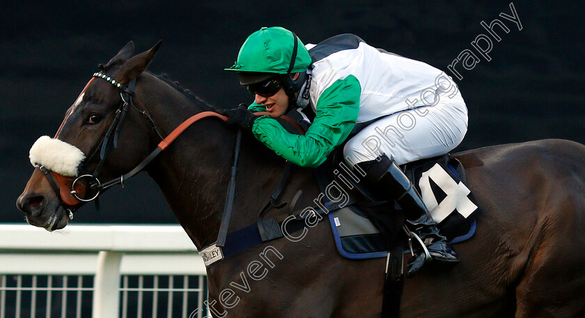 Vinndication-0006 
 VINNDICATION (David Bass) wins The Noel Novices Chase
Ascot 21 Dec 2018 - Pic Steven Cargill / Racingfotos.com