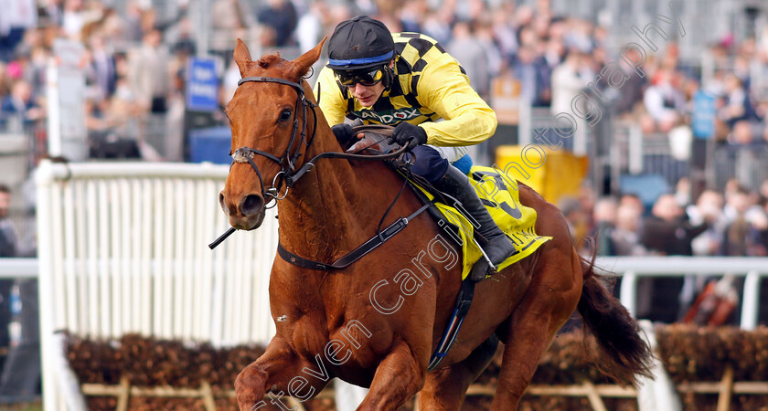 Dancing-City-0002 
 DANCING CITY (Paul Townend) wins The Cavani Sartorial Menswear Sefton Novices Hurdle
Aintree 12 Apr 2024 - Pic Steven Cargill / Racingfotos.com