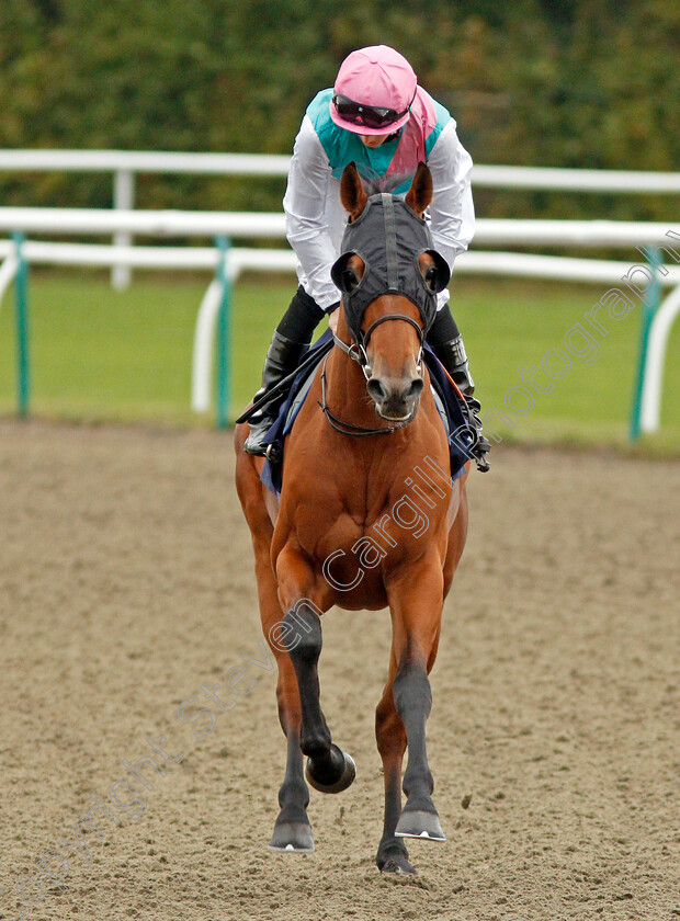 Recondite-0001 
 RECONDITE (Harry Bentley)
Lingfield 3 Oct 2019 - Pic Steven Cargill / Racingfotos.com