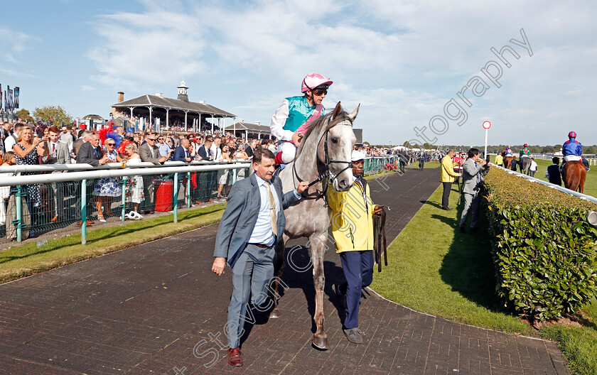 Logician-0003 
 LOGICIAN (Frankie Dettori) before The St Leger
Doncaster 14 Sep 2019 - Pic Steven Cargill / Racingfotos.com