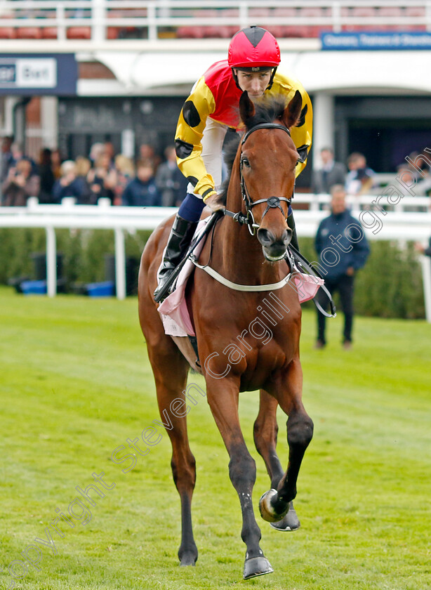 Duke-Of-Oxford-0002 
 DUKE OF OXFORD (Hector Crouch)
Chester 10 May 2023 - pic Steven Cargill / Racingfotos.com