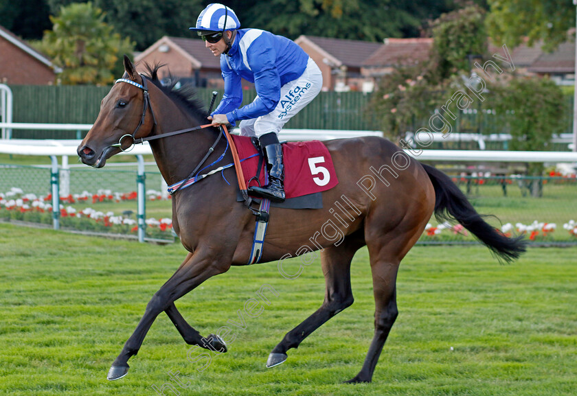 Allayaali-0001 
 ALLAYAALI (Jim Crowley)
Haydock 1 Sep 2022 - Pic Steven Cargill / Racingfotos.com