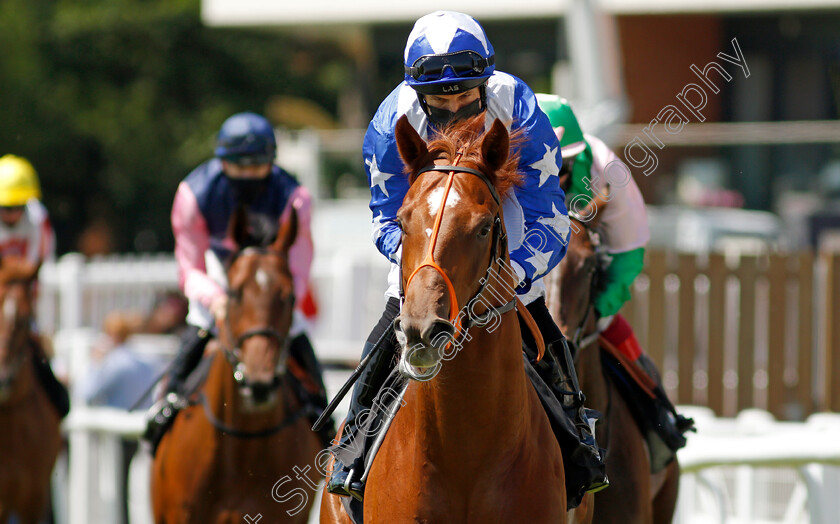 Flintstone-0001 
 FLINTSTONE (Pat Dobbs)
Newbury 16 Jul 2021 - Pic Steven Cargill / Racingfotos.com