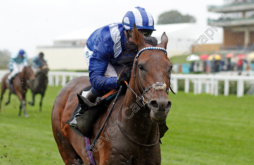 Hukum-0007 
 HUKUM (Jim Crowley) wins The ABF/BGC Cumberland Lodge Stakes
Ascot 2 Oct 2021 - Pic Steven Cargill / Racingfotos.com