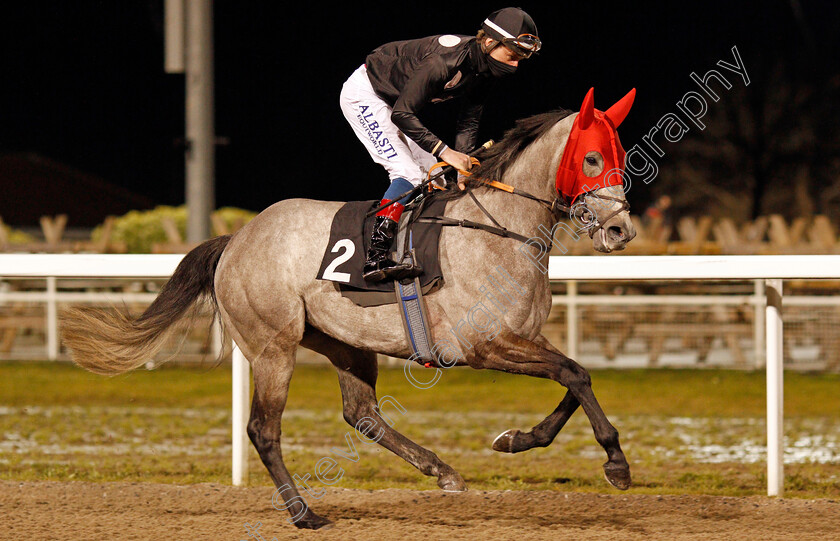 Declaring-Love-0001 
 DECLARING LOVE (Adam Kirby)
Chelmsford 18 Feb 2021 - Pic Steven Cargill / Racingfotos.com