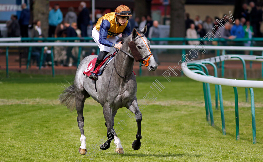 Pedro-Valentino-0005 
 PEDRO VALENTINO (Richard Kingscote) winner of The Betfred Supports Jack Berry House Handicap
Haydock 8 Jun 2024 - Pic Steven Cargill / Racingfotos.com