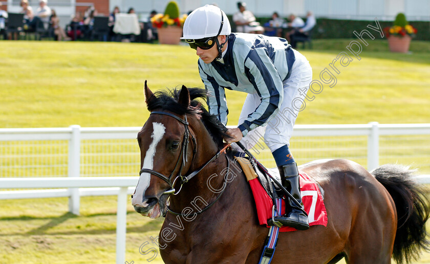 Mars-Landing-0001 
 MARS LANDING (Kieran Shoemark)
Sandown 30 Aug 2019 - Pic Steven Cargill / Racingfotos.com