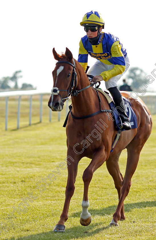 Crocodile-Tears-0001 
 CROCODILE TEARS (Ross Coakley)
Bath 23 Jun 2021 - Pic Steven Cargill / Racingfotos.com