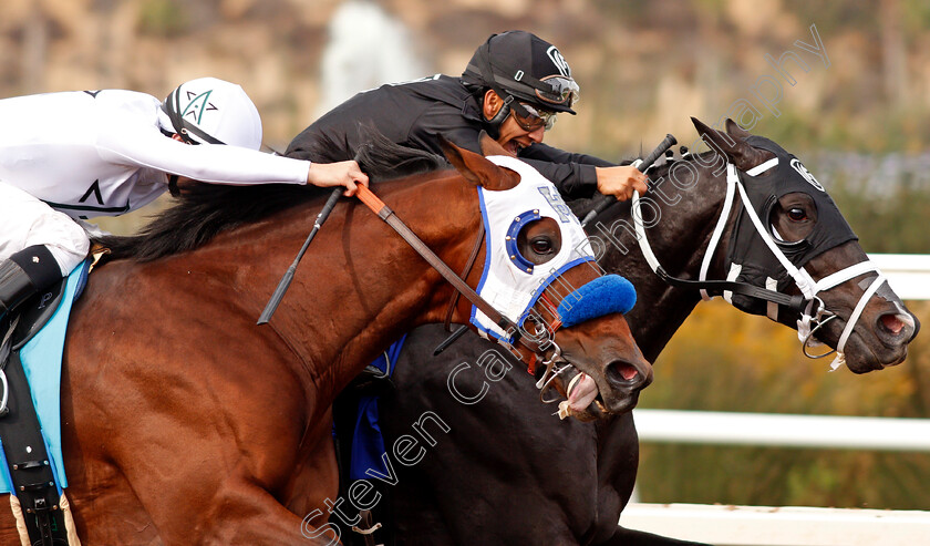 Battle-Of-Midway-0002 
 BATTLE OF MIDWAY (left, Flavian Prat) beats SHARP AZTECA (right) in The Breeders' Cup Dirt Mile, Del Mar USA 3 Nov 2017 - Pic Steven Cargill / Racingfotos.com