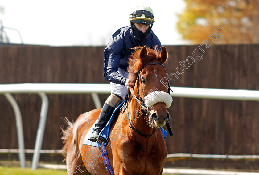 Traila-0002 
 TRAILA (Richard Kingscote)
Leicteser 24 Apr 2021 - Pic Steven Cargill / Racingfotos.com