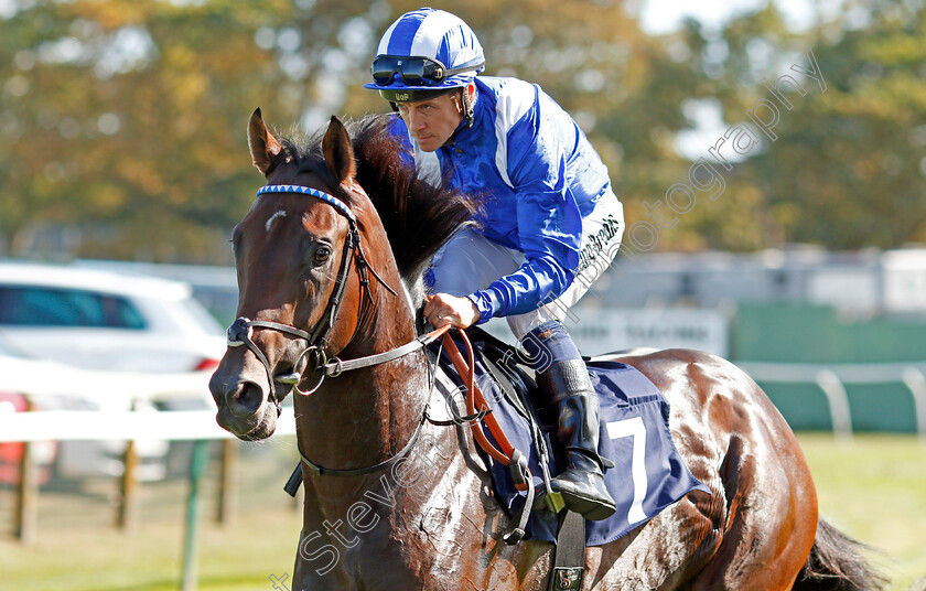 Maqtal-0003 
 MAQTAL (Jim Crowley) winner of The British Stallion Studs EBF Maiden Stakes
Yarmouth 18 Sep 2019 - Pic Steven Cargill / Racingfotos.com