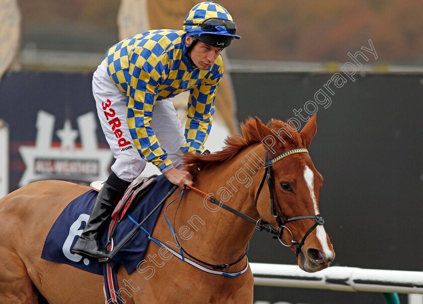 Chestnut-Storm-0001 
 CHESTNUT STORM (Luke Morris) Lingfield 21 Nov 2017 - Pic Steven Cargill / Racingfotos.com