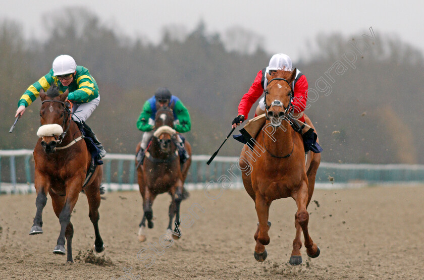 Harry s-Bar-0002 
 HARRY'S BAR (right, Andrea Atzeni) beats TOTAL COMMITMENT (left) in The Heed Your Hunch At Betway Handicap
Lingfield 15 Feb 2020 - Pic Steven Cargill / Racingfotos.com