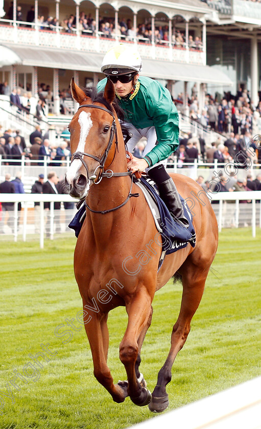 Ceilidhs-Dream-0001 
 CEILIDHS DREAM (Harry Bentley)
York 16 May 2018 - Pic Steven Cargill / Racingfotos.com