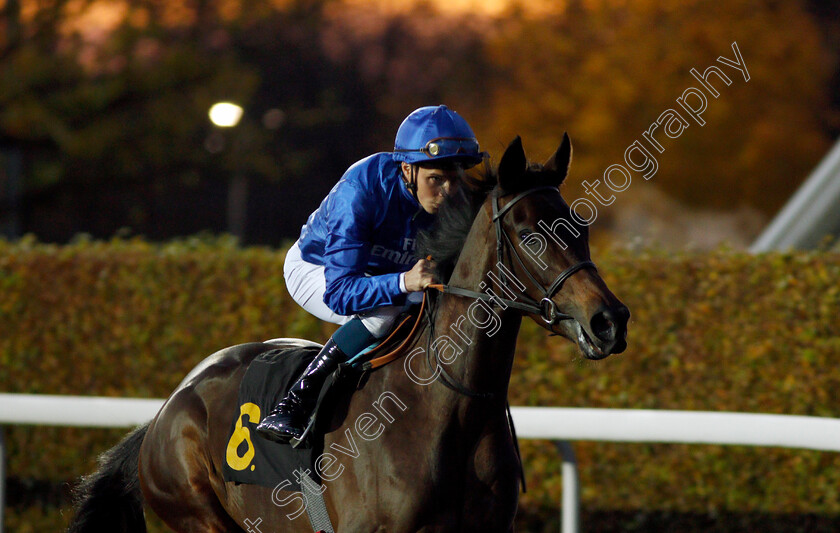 Espadrille-0001 
 ESPADRILLE (William Buick) winner of The100% Profit Boost At 32Redsport.com EBF Fillies Novice Stakes Div1 Kempton 8 Nov 2017 - Pic Steven Cargill / Racingfotos.com