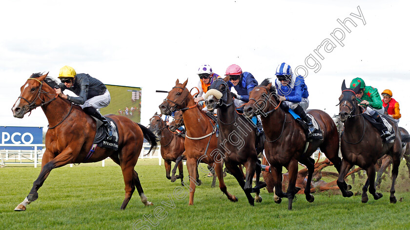 Swindler-0005 
 SWINDLER (Louis Steward) crosses the field and causes a faller (Magical Ride) to win The Fever-Tree Handicap but is allowed to keep the race in the stewards enquiry.
Ascot 7 Sep 2019 - Pic Steven Cargill / Racingfotos.com