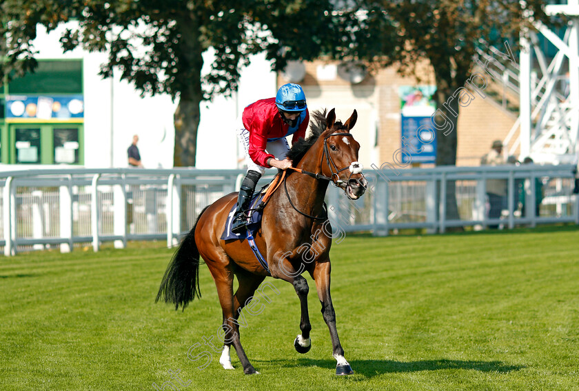 Dusk-0001 
 DUSK (Ryan Moore)
Yarmouth 15 Sep 2020 - Pic Steven Cargill / Racingfotos.com