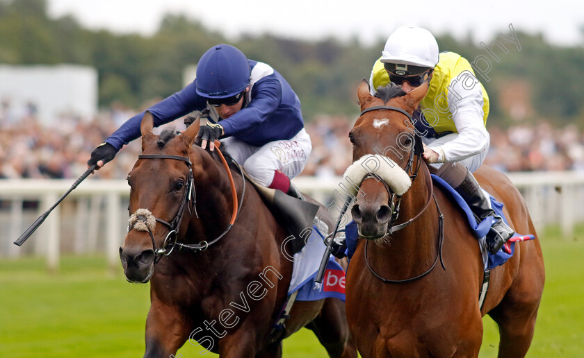 Forza-Orta-0002 
 FORZA ORTA (right, Rowan Scott) beats AZTEC EMPIRE (left) in The Sky Bet Stayers Handicap
York 23 Aug 2023 - Pic Steven Cargill / Racingfotos.com