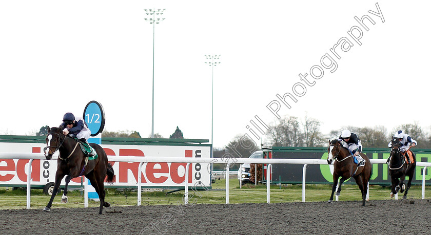 Lady-Kermit-0001 
 LADY KERMIT (Edward Greatrex) wins The 100% Profit Boost At 32redsport.com EBF FIllies Novice Stakes
Kempton 3 Apr 2019 - Pic Steven Cargill / Racingfotos.com