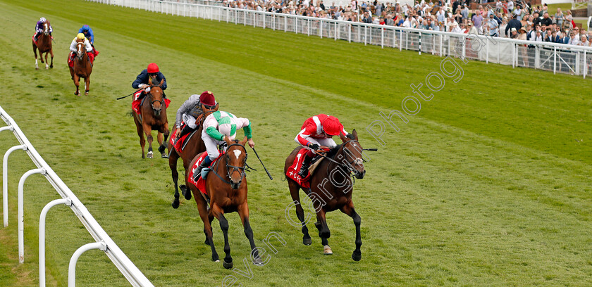 Berkshire-Rebel-0003 
 BERKSHIRE REBEL (right, Oisin Murphy) beats FIRTH OF CLYDE (left) in The tote EBF Restricted Maiden Stakes
Goodwood 29 Aug 2021 - Pic Steven Cargill / Racingfotos.com