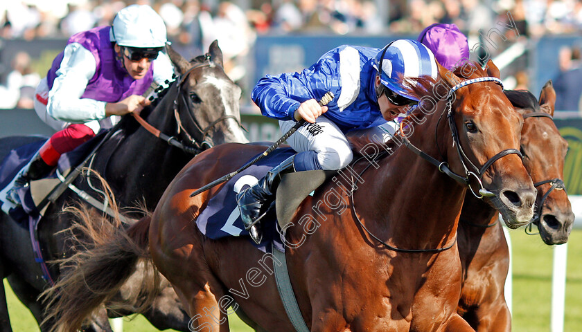 Molatham-0006 
 MOLATHAM (Jim Crowley) wins The Weatherbys Global Stallions App Flying Scotsman Stakes
Doncaster 13 Sep 2019 - Pic Steven Cargill / Racingfotos.com