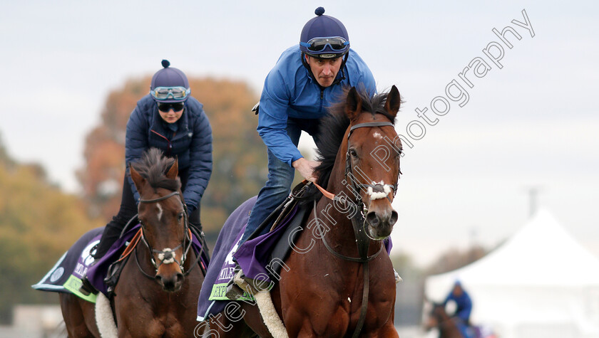 Expert-Eye-0003 
 EXPERT EYE exercising ahead of The Breeders' Cup Mile
Churchill Downs USA 30 Oct 2018 - Pic Steven Cargill / Racingfotos.com