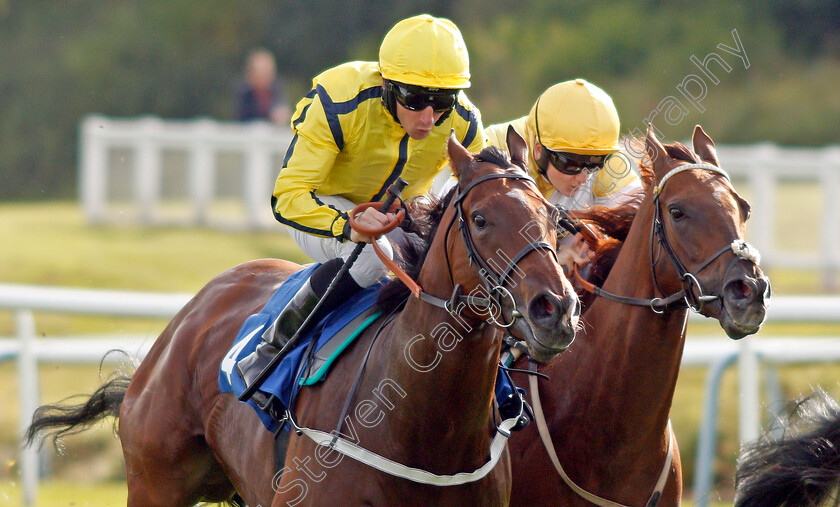 Wise-Words-0004 
 WISE WORDS (left, P J McDonald) beats CORINTHIA KNIGHT (right) in The EBF Stallions Prestwold Conditions Stakes
Leicester 10 Sep 2019 - Pic Steven Cargill / Racingfotos.com