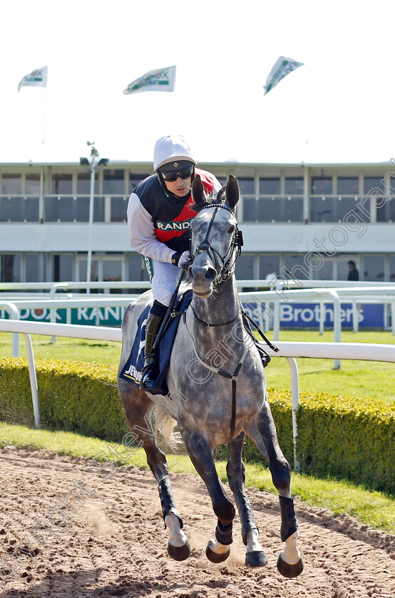 Greyval-0002 
 GREYVAL (Paddy Brennan)
Aintree 13 Apr 2023 - Pic Steven Cargill / Racingfotos.com