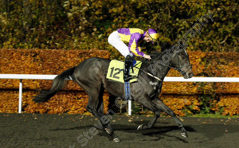 Scallywagtail-0001 
 SCALLYWAGTAIL (Hector Crouch)
Kempton 20 Nov 2019 - Pic Steven Cargill / Racingfotos.com