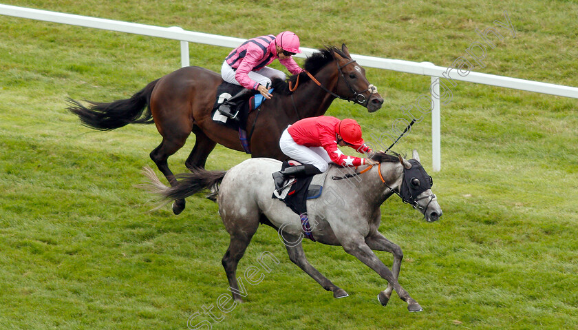 Red-Force-One-0002 
 RED FORCE ONE (Martin Harley) beats SWISS STORM in The Wellchild Handicap
Newbury 18 Aug 2018 - Pic Steven Cargill / Racingfotos.com