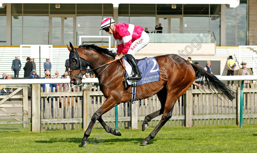 Amanzoe-0001 
 AMANZOE (Tom Marquand)
Newmarket 29 Sep 2023 - Pic Steven Cargill / Racingfotos.com