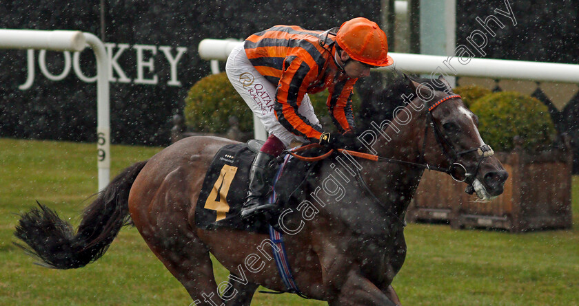 Dancing-Harry-0005 
 DANCING HARRY (Oisin Murphy) wins The Federation of Bloodstock Agents Handicap
Newmarket 7 Aug 2021 - Pic Steven Cargill / Racingfotos.com