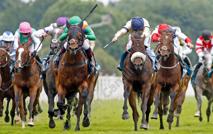 Quinault-0005 
 QUINAULT (centre, Connor Planas) beats WASHINGTON HEIGHTS (right) in The Oakmere Homes Supporting Macmillan Sprint Handicap
York 17 Jun 2023 - Pic Steven Cargill / Racingfotos.com