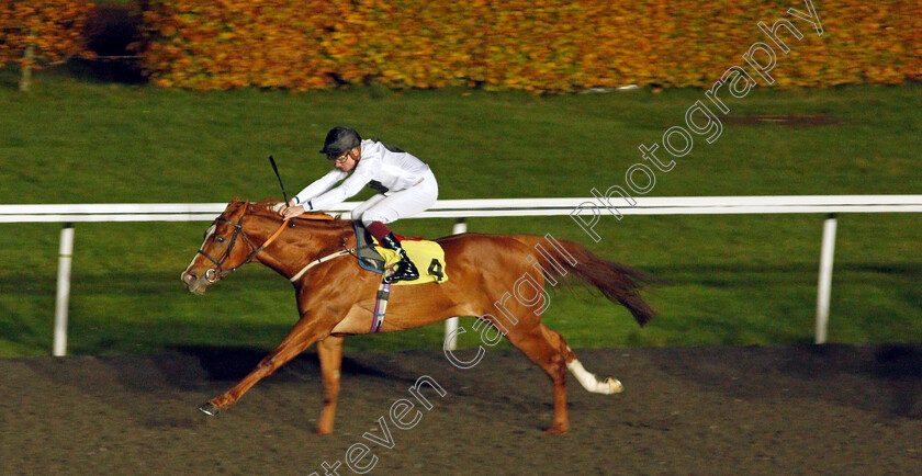 Hover-0004 
 HOVER (Rob Hornby) wins The Unibet Casino Deposit £10 Get £40 Bonus Handicap
Kempton 10 Nov 2021 - Pic Steven Cargill / Racingfotos.com