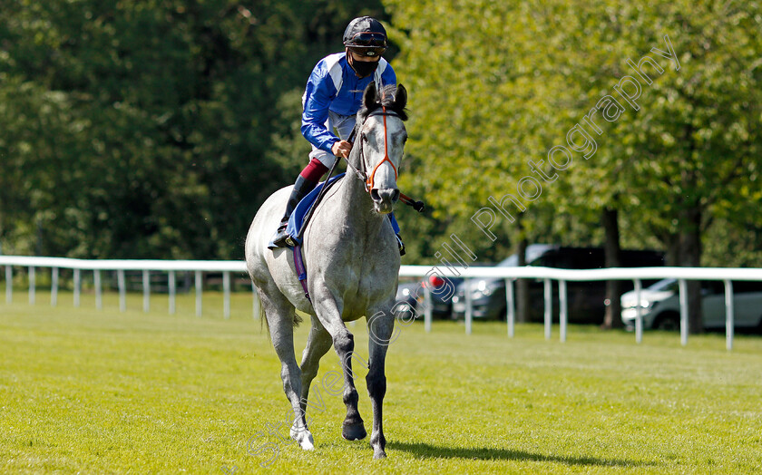 Anghaam-0001 
 ANGHAAM (Thore Hammer Hansen)
Salisbury 8 Jun 2021 - Pic Steven Cargill / Racingfotos.com