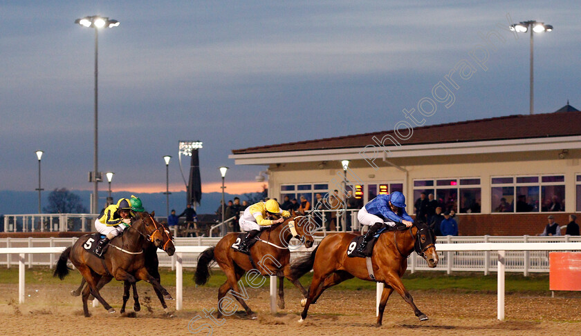 Story-Of-Light-0002 
 STORY OF LIGHT (James Doyle) wins The Bet toteplacepot At totesport.com Novice Stakes
Chelmsford 19 Nov 2019 - Pic Steven Cargill / Racingfotos.com