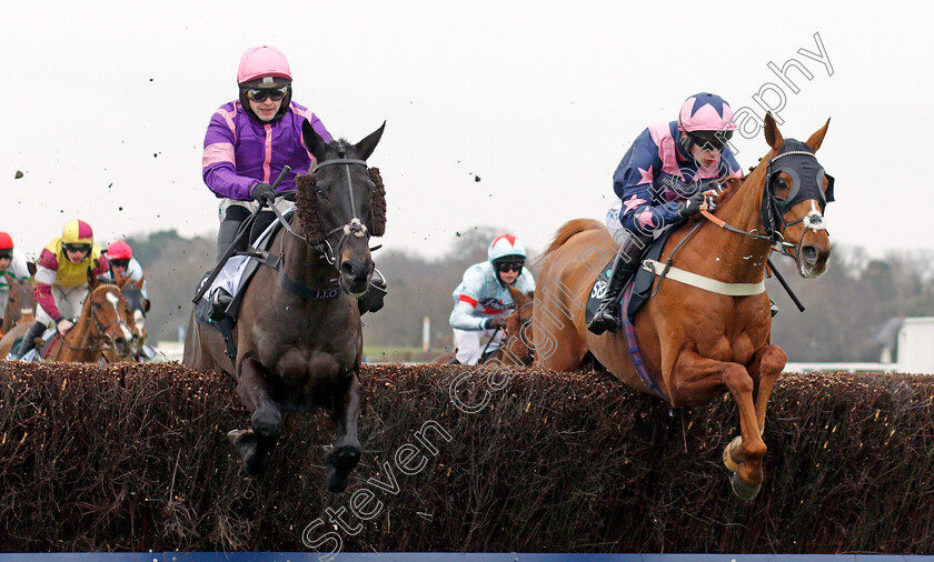 Cobolobo-and-Le-Breuil-0001 
 COBOLOBO (left, Jonjo O'Neill) with LE BREUIL (right, Luca Morgan)
Ascot 22 Jan 2022 - Pic Steven Cargill / Racingfotos.com