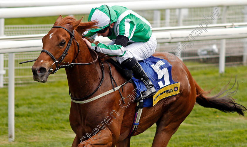 Mr-Lupton-0005 
 MR LUPTON (Paul Hanagan) wins The Churchill Tyres Handicap
York 12 May 2021 - Pic Steven Cargill / Racingfotos.com